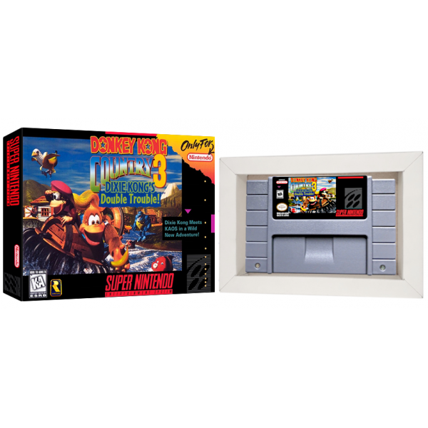 Cartucho Donkey Kong Country 3 com Caixa e Berço